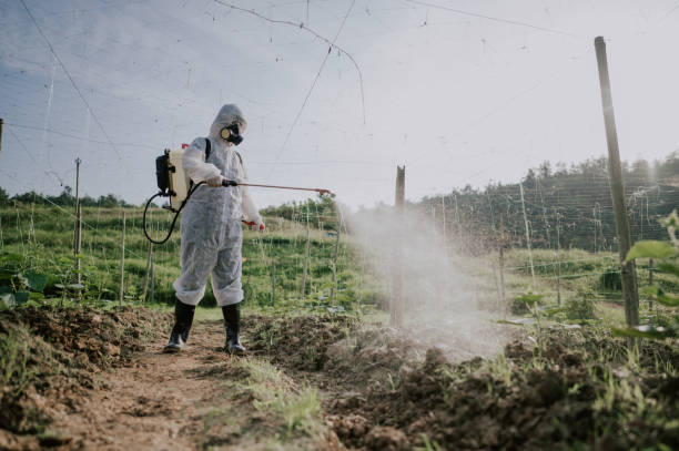 Best Best Pest Control Companies  in Lindon, UT