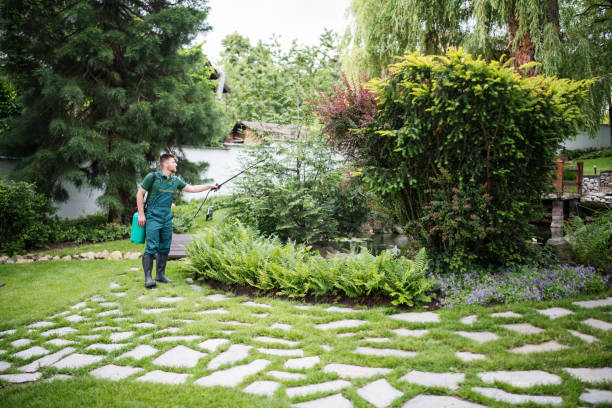 Best Local Pest Control Services  in Lindon, UT