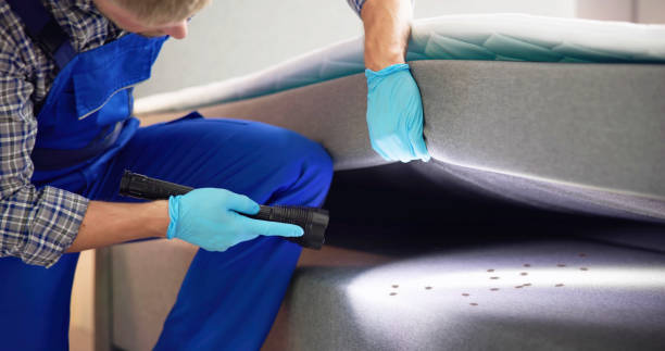 Best Pest Control Near Me in Lindon, UT