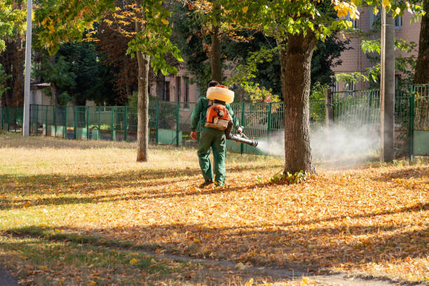 Best Mosquito Control Services  in Lindon, UT