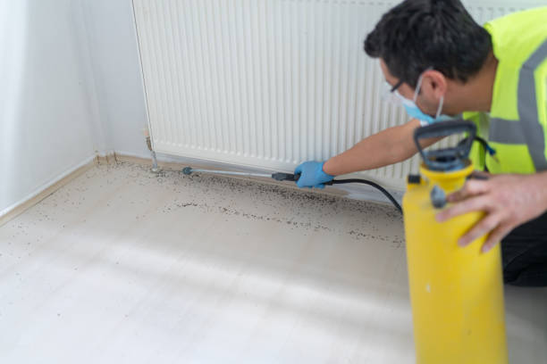 Best Emergency Pest Control  in Lindon, UT