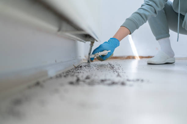 Best Pest Removal Services  in Lindon, UT
